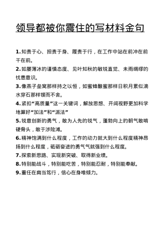 领导都被你震住的写材料金句.doc