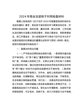 2024年商会支部班子对照检查材料.docx