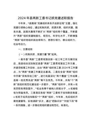 2024年县两新工委书记抓X建述职报告.docx