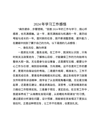 2024年学习工作感悟.docx