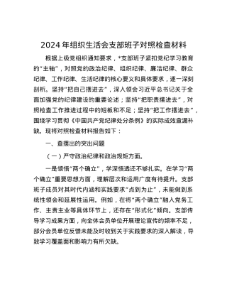 2024年组织生活会支部班子对照检查材料.docx