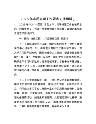 2025年市局X建工作要点（通用版）.docx