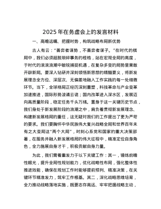 2025年在务虚会上的发言材料 (2).docx