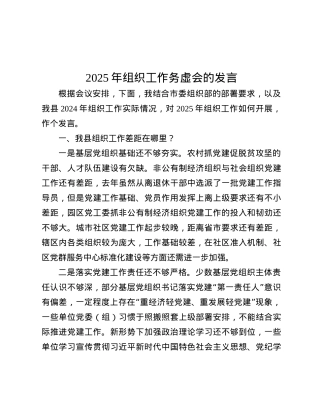 2025年组织工作务虚会的发言.docx