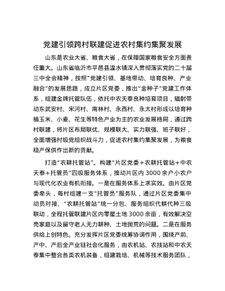 X建引领跨村联建促进农村集约集聚发展.docx