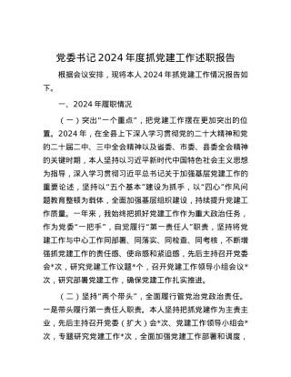 X委书记2024年度抓X建工作述职报告.docx