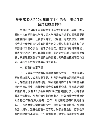 X支部书记2024年度民主生活会、组织生活会对照检查材料.docx