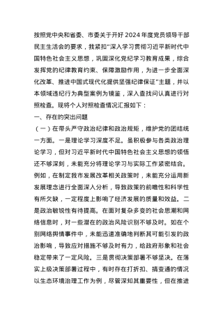 常务副市长关于2024年度民主生活会“四个带头”对照检视发言材料.docx