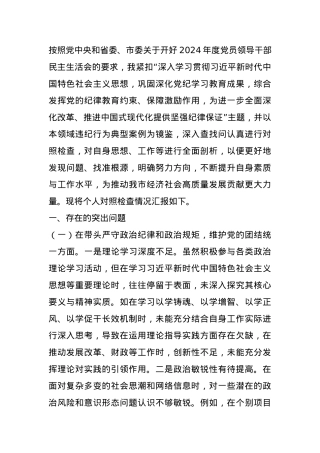 常务副市长关于2024年度民主生活会个人对照检视发言材料（“四个带头”）.docx