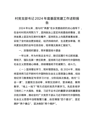 村X支部书记2024年度基层X建工作述职报告.docx