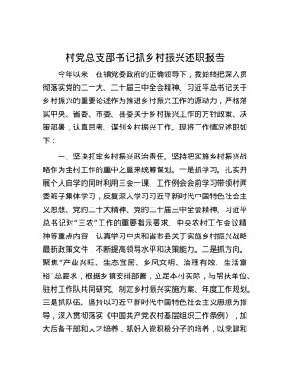 村X总支部书记抓乡村振兴述职报告.docx