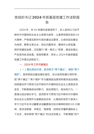 党组织书记2024年抓基层党建工作述职报告.docx