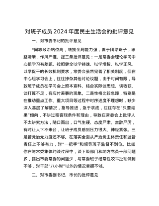 对班子成员2024年度民主生活会的批评意见.docx