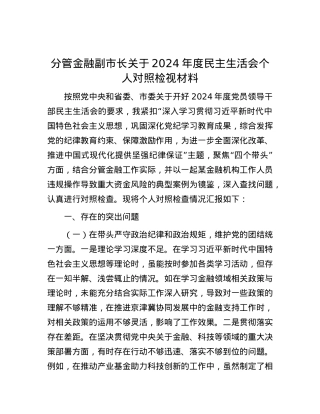 分管金融副市长关于2024年度民主生活会个人对照检视材料.docx