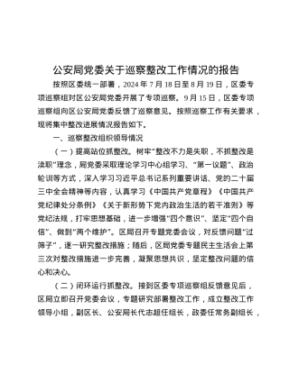 公安局X委关于巡察整改工作情况的报告.docx