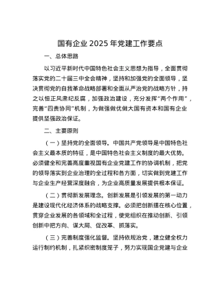国有企业2025年X建工作要点.docx
