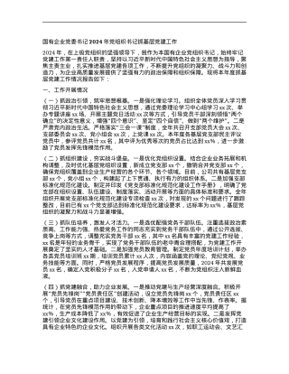 国有企业X委书记2024年X组织书记抓基层X建工作 (2).docx