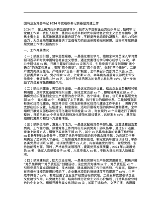 国有企业X委书记2024年X组织书记抓基层X建工作.docx