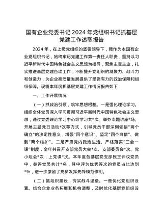 国有企业X委书记2024年X组织书记抓基层X建工作述职报告 (2).docx