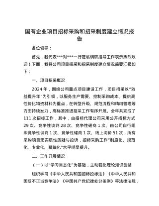 国有企业项目招标采购和招采制度建立情况报告.docx