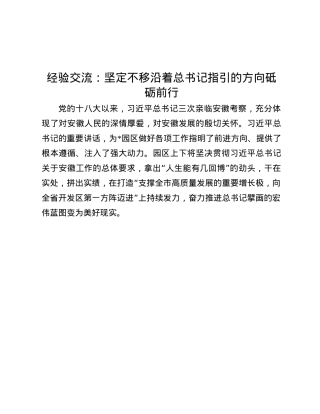 经验交流：坚定不移沿着总书记指引的方向砥砺前行.docx