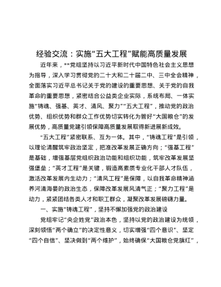 经验交流：实施“五大工程” 赋能高质量发展.docx