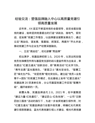 经验交流：塑强品牌 融入中心 以高质量X建引领高质量发展.docx