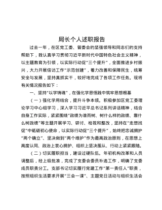 局长个人述职报告.docx