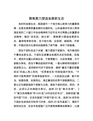 聚焦聚力塑造发展新生态 (2).docx