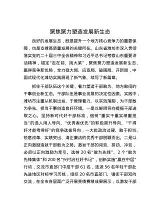聚焦聚力塑造发展新生态.docx