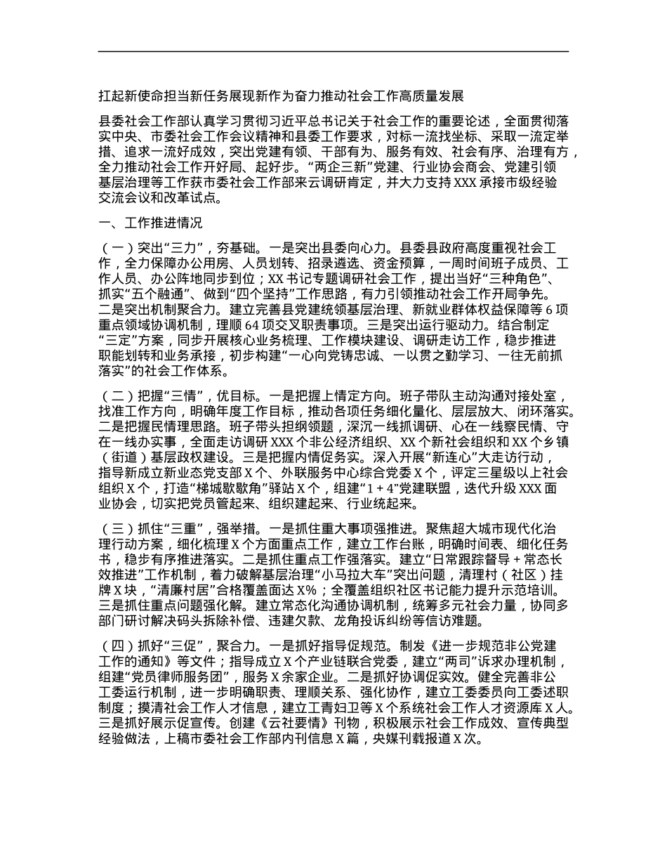 扛起新使命担当新任务展现新作为奋力推动社会工作高质量发展.docx_第1页