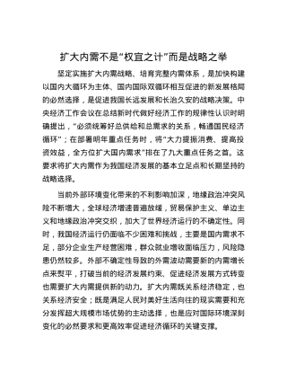 扩大内需不是“权宜之计”而是战略之举.docx