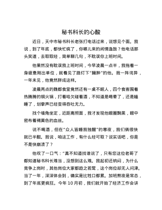 秘书科长的心酸.docx