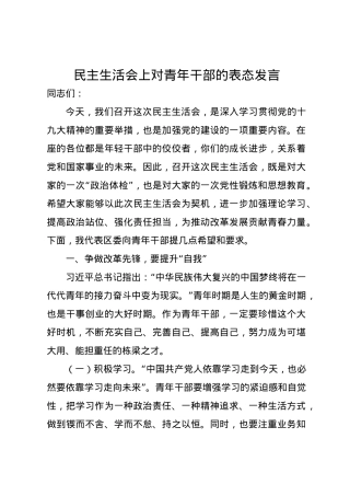 民主生活会上对青年干部的表态发言.docx