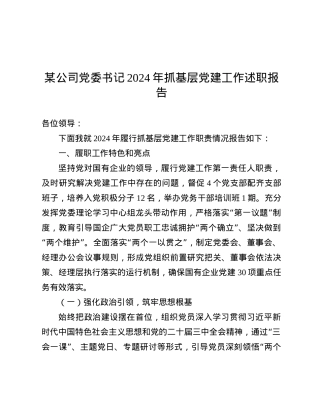 某公司X委书记2024年抓基层X建工作述职报告.docx