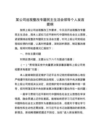 某公司巡视整改专题民主生活会领导个人发言提纲 (2).docx