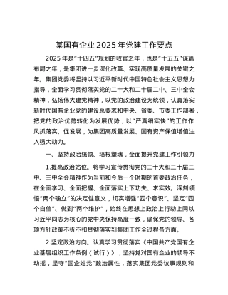 某国有企业2025年X建工作要点.docx