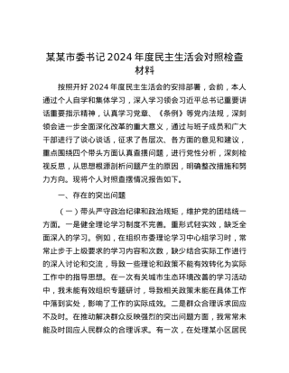 某某市委书记2024年度民主生活会对照检查材料 (2).docx