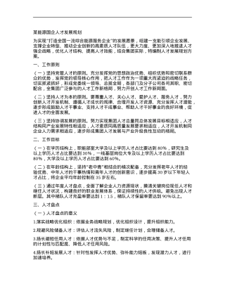 某能源国企人才发展规划.docx