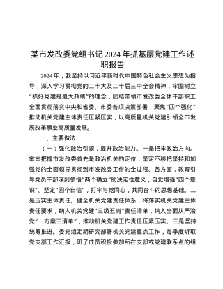 某市发改委X组书记2024年抓基层X建工作述职报告.docx
