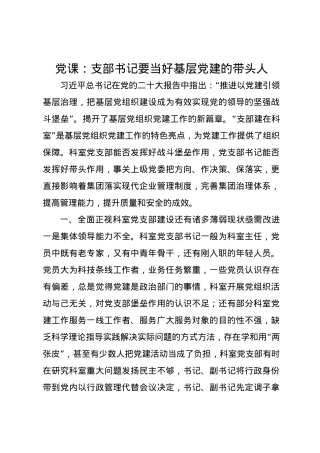 党课讲稿：支部书记要当好基层党建的带头人.docx