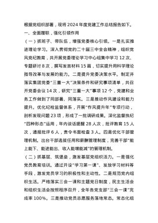 国有企业2024年抓党建工作述职报告.docx