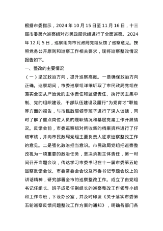 民政局党组2024年巡察整改工作情况报告 (2).docx