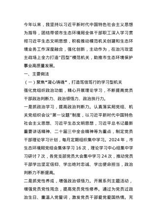 某市生态环境局党组书记2024年述职述廉述党建工作报告.docx