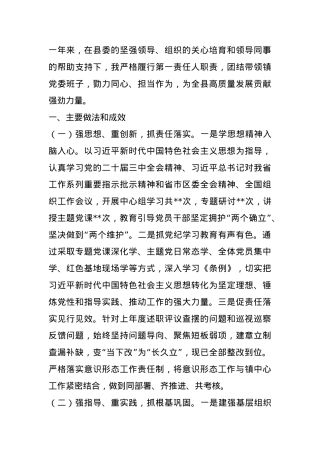 某镇党委书记2024年度抓基层党建工作述职报告.docx