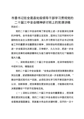 市委书记在全是县处级领导干部学习贯彻党的二十届三中全会精神研讨班上的党课讲稿.docx