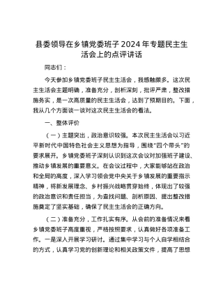 县委领导在乡镇党委班子2024年专题民主生活会上的点评讲话.docx