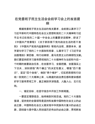 在党委班子民主生活会会前学习会上的发言提纲 (2).docx
