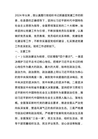 2024年度党组织书记抓基层党建工作情况述职报告.docx