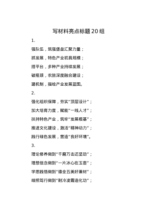 写材料亮点标题20组.docx